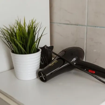 דירה Triplex Penthouse Holandska פראג
